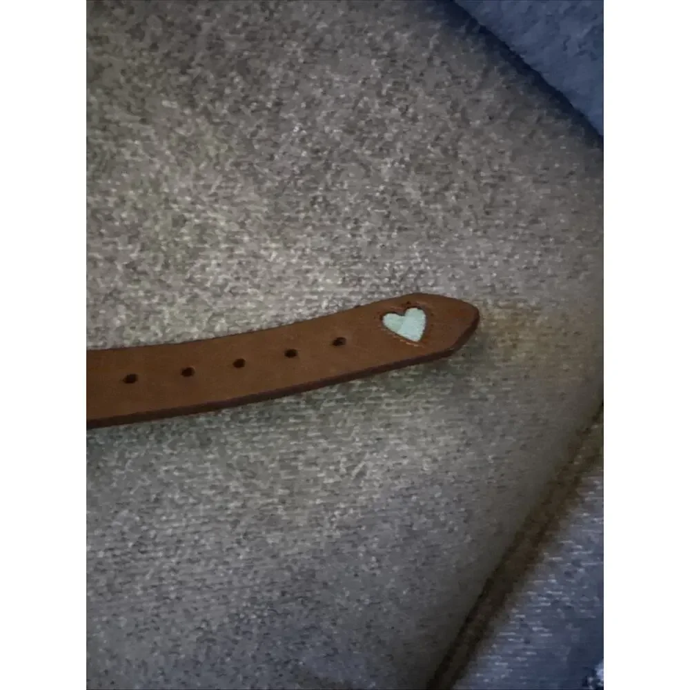 Catchfly Studio Hits Belt